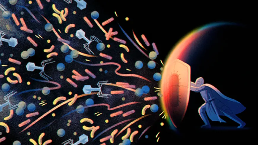 The Ancient Weapons Active in Your Immune System Today