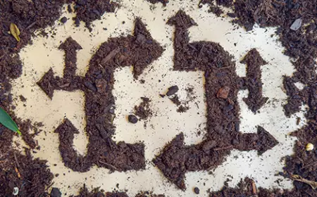 The Dirt That Refused To Die