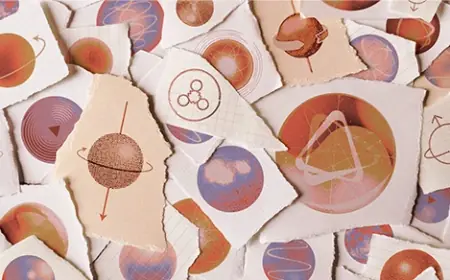 How Many Elementary Particles Are There, Really?