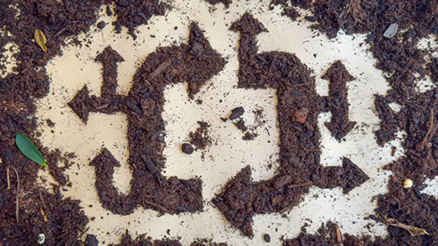 The Dirt That Refused To Die