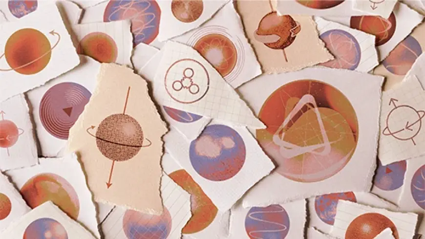How Many Elementary Particles Are There, Really?