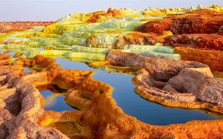 The Organisms That Make Earth’s Harshest Places Home