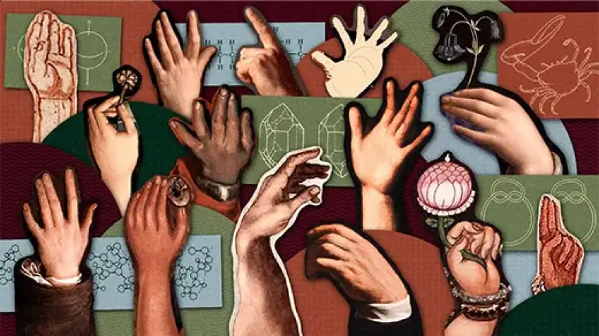 Why Am I Left-Handed?