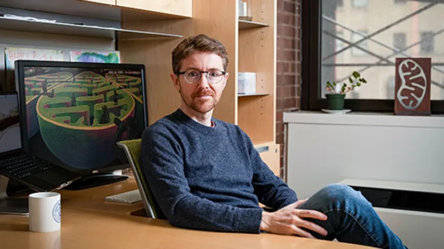 Martin Picard’s Mitochondrial Theory of Mind