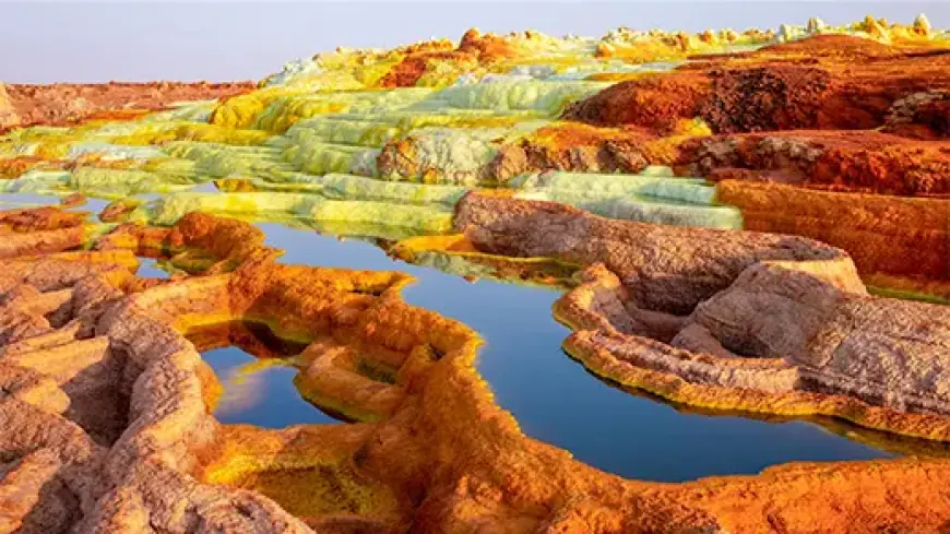 The Organisms That Make Earth’s Harshest Places Home