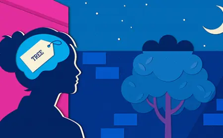 A New Framework for How the Brain Compresses Our Noisy World